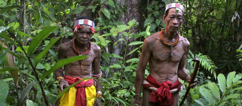 Rückzug in den Wald - das ist die seit Generationen bewährte Reaktion der Indigenen auf den Ausbruch von Krankheiten und Seuchen Indigene aus Siberut
