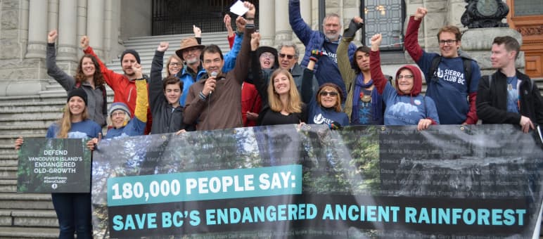 Aktivisten übergeben 180.000 Unterschriften gegen Rodungen auf Vancouver Island Aktivisten übergeben 180.000 Unterschriften gegen Rodungen auf Vancouver Island