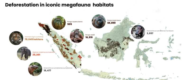 Karte von Sumatra und Borneo mit Holzeinschlagsgebieten