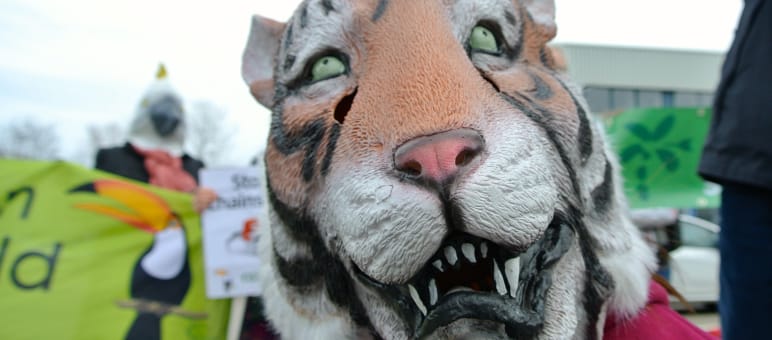 Tigermaske auf RdR-Demo