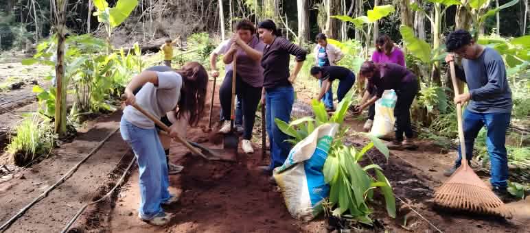 Eine Gruppe von Personen bereitet im Regenwald den Boden für den Anbau von Obstbäumen vor