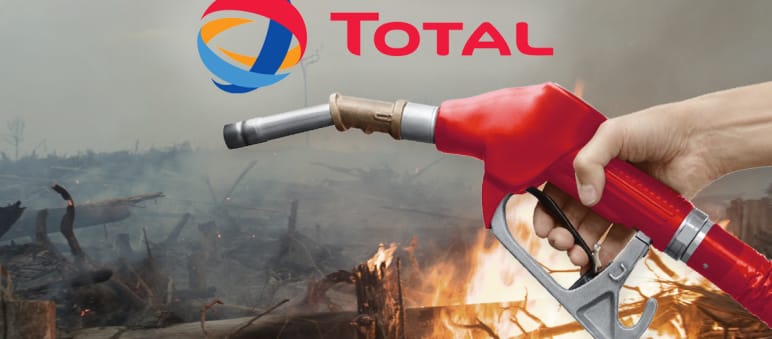 Regenwälder werden zerstört, um Palmöl für Biodiesel zu produzieren Collage - Total Brandrodung für Palmöl