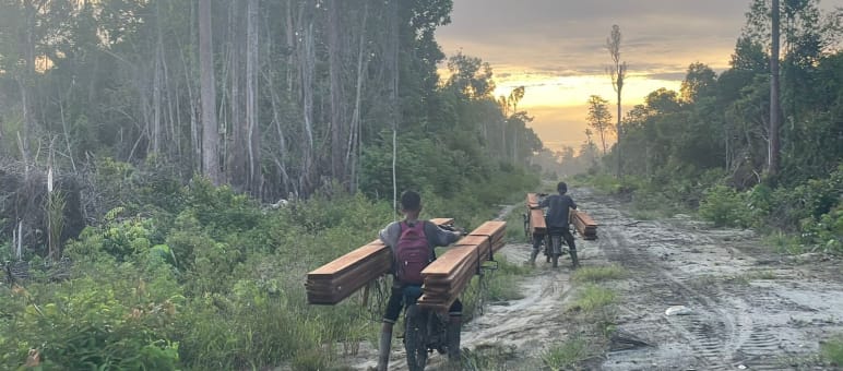 zwei Männer auf Mopeds transportieren Schnittholz auf breitem Waldweg