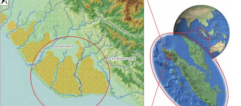 Karte vom Tripa-Torfmoor