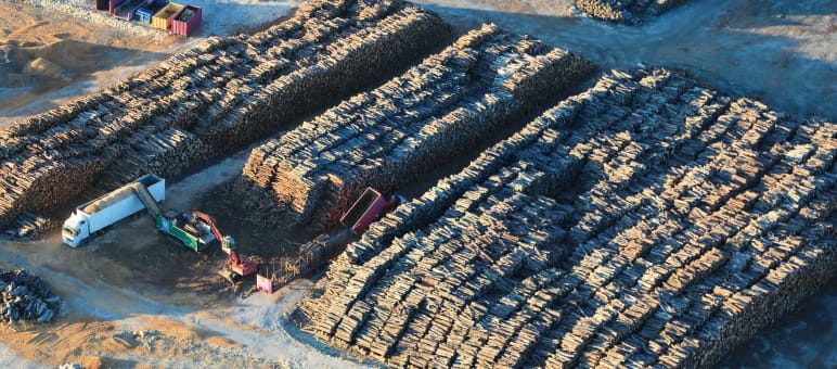 Um im großen Stil Energie zu produzieren, reicht heimisches Restholz nicht aus. Darum wird Holz in Massen zum Verbrennen importiert Holzkraftwerk Uniper