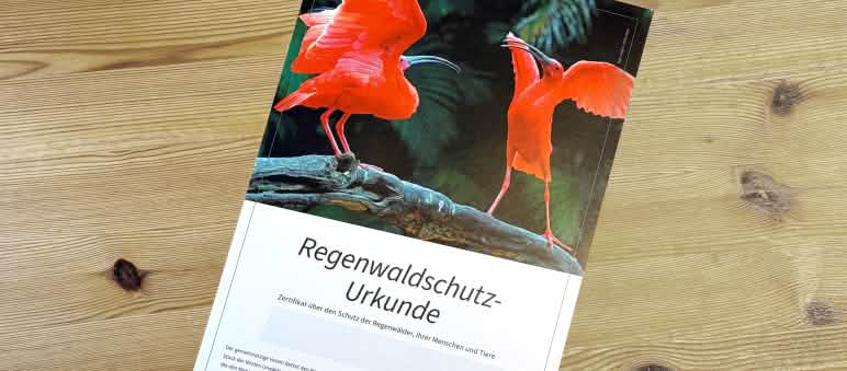 Zwei Scharlach-Ibis-Flügel auf