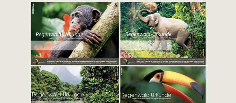 Urkunden Report 04/17