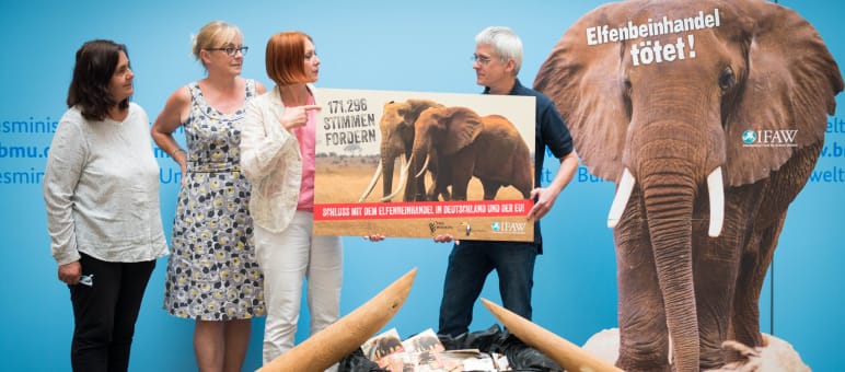 Übergabe der Petition im Bundesumweltministerium Übergabe der Petition gegen Elfenbein im Bundesumweltministerium