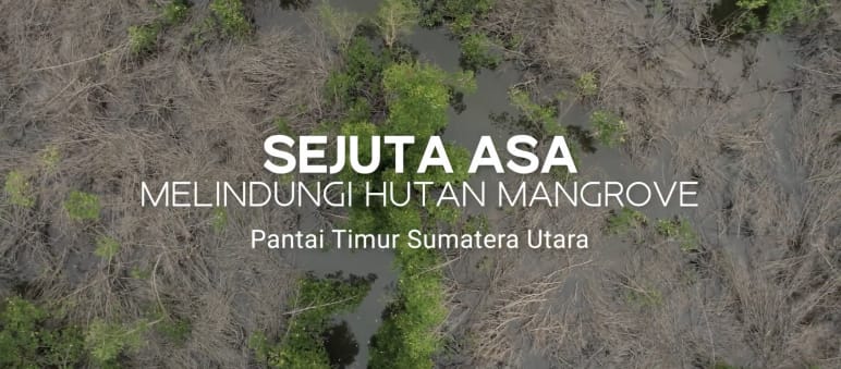 Titel des Videos Sejuta Asa