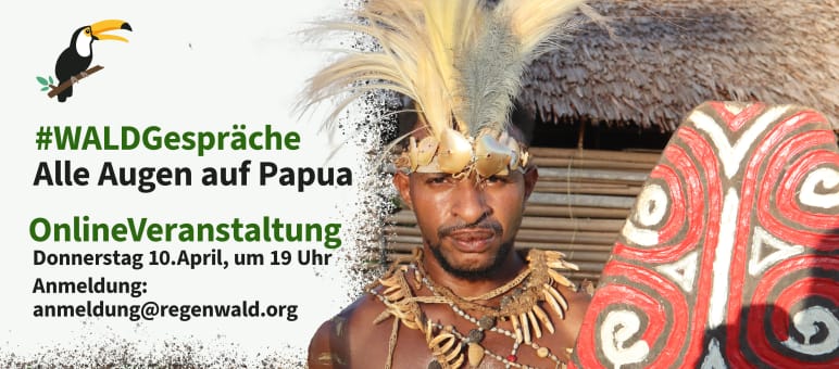 #WALDGespräche: Indigene schützen die intakten Regenwälder in Papua (Indonesien) WaldGespräche Papua