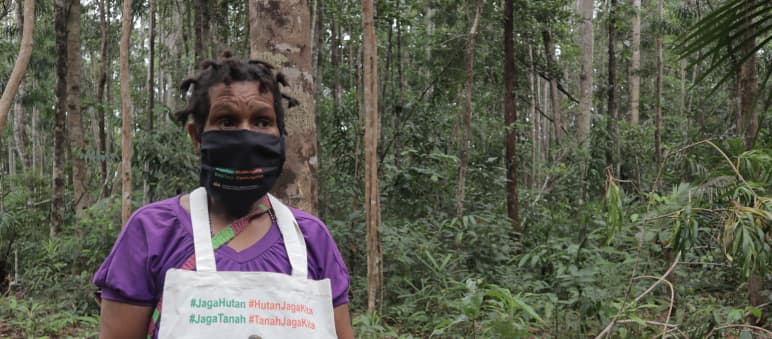 Protest in Papua: Schütze den Wald - der Wald schützt uns