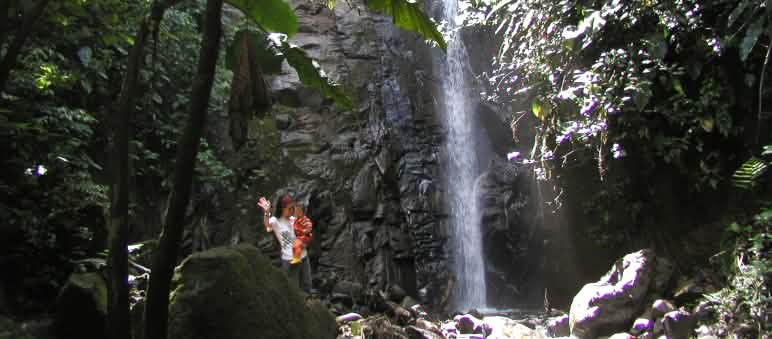 Wasserfall im Regenwald