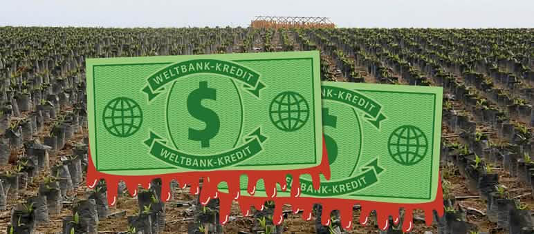 Zwei symbolische Dollarscheine der Weltbank vor einer endlosen Wüste aus Ölpalm-Setzlingen