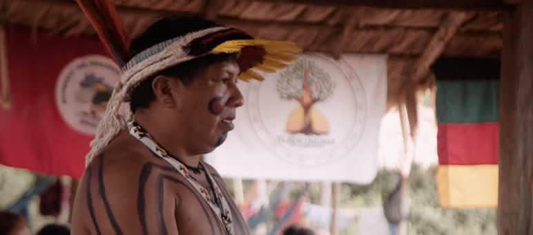 Ithau Ka'apor, Profil