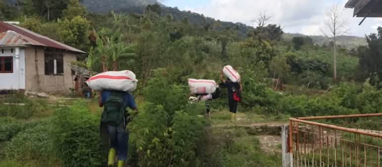 drei menschen tragen Reissäcke den Berg hoch