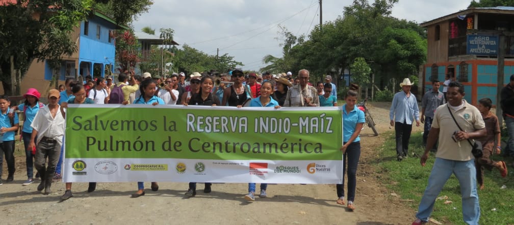 Aktion für die Rettung des Biosphärenreservats Indio-Maiz in Nicaragua
