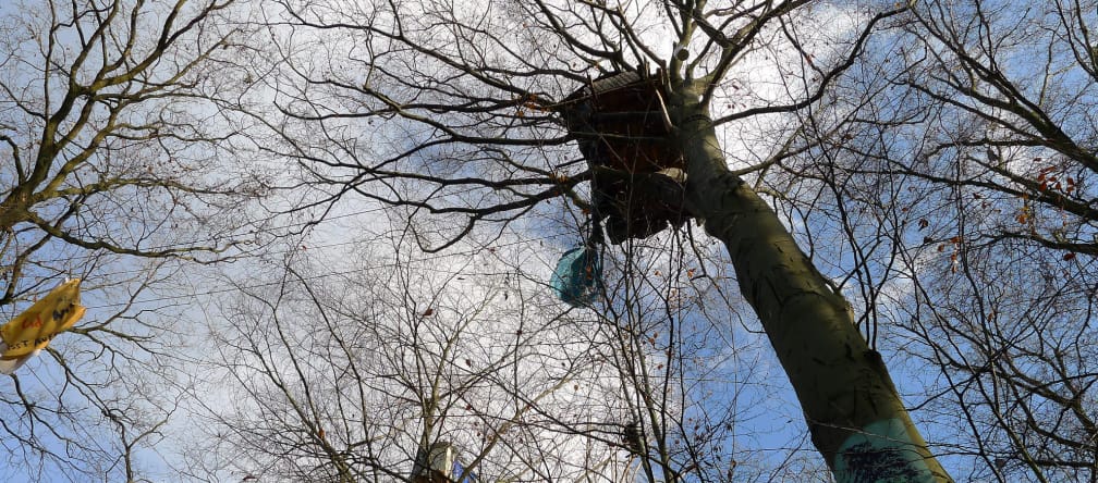Baumhaus im Hambacher Wald