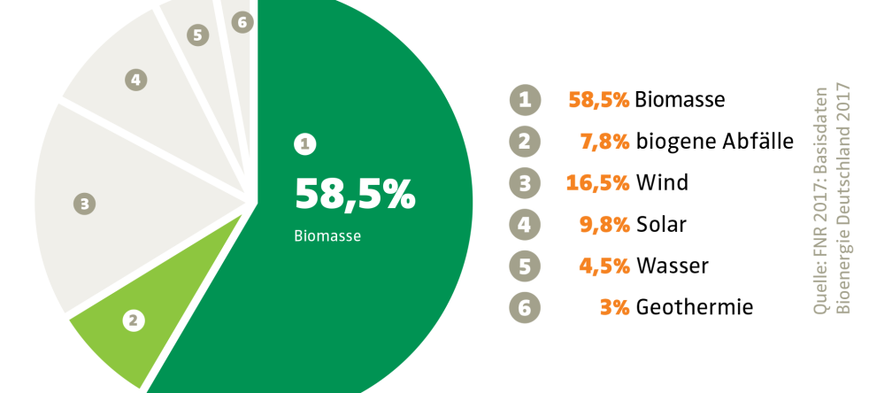 Anteil der Bioenergie bei den erneuerbaren Energien in der EU (2016). Tiere und Pflanzen sind nur noch "Biomasse" Anteil der Bioenergie bei den erneuerbaren Energien in der EU (2016)