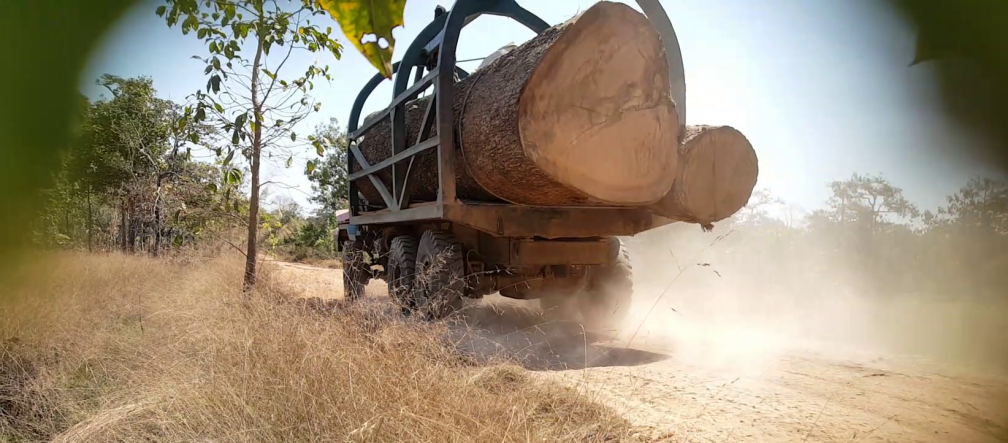 Lkw schaffen illegal geschlagenes Holz aus dem Wald Holzlaster in Kambodscha