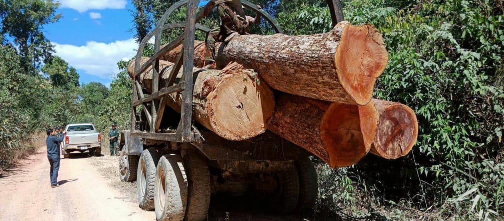 Holzraub in Kambodscha