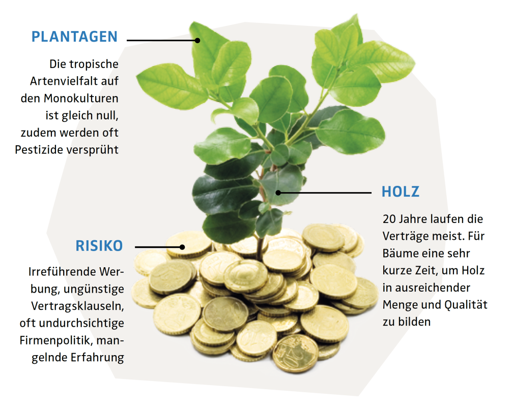 Investition in Plantagen