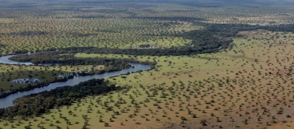 Die Cerrado-Savanne wird für Soja- und Zuckerrohrplantagen sowie Rinderweiden abgeholzt Landschaft aus der Vogelperspektive mit Wald und Fluss