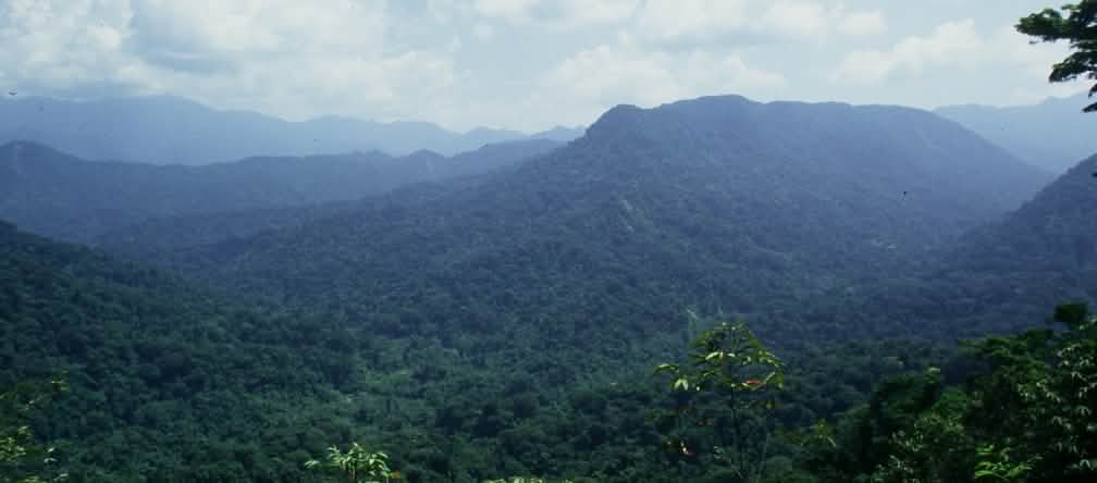 Der Chimalapas Wald in Mexiko