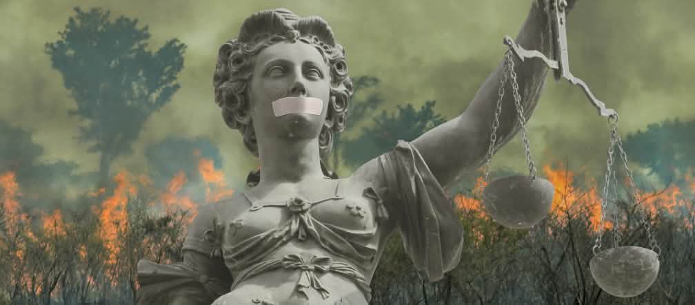 Collage: Justitia vor dem brennenden Regenwald