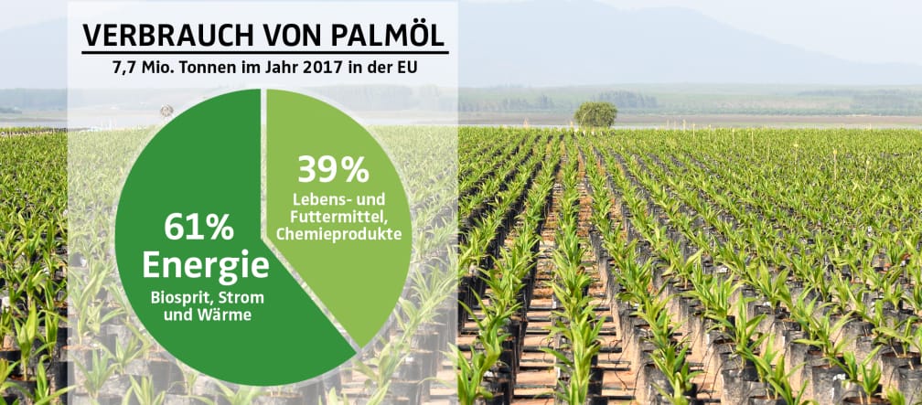 Palmölverwendung EU 2017 COLLAGE - Diagramm Palmölverwendung EU 2017 mit Palmölplantage als Hintergrund