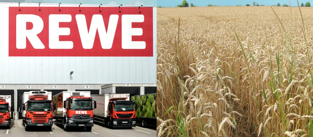 REWE will 30 Hektar Acker betonieren Collage REWE Logistikzenrumg + Weizenfeld