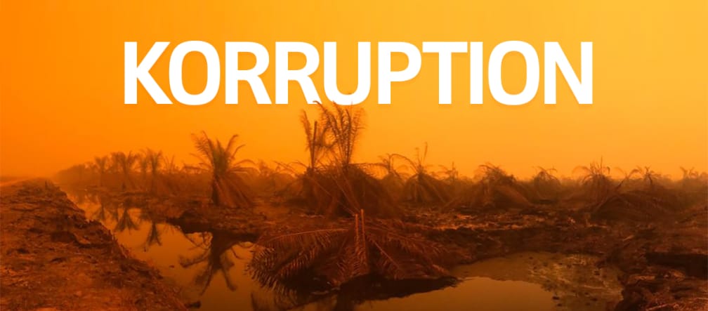 Brände in Sumatra + Text KORRUPTION