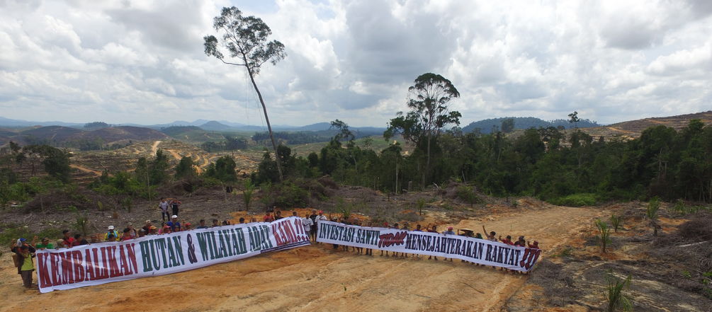Proteste gegen Palmöl im Regenwald von Borneo