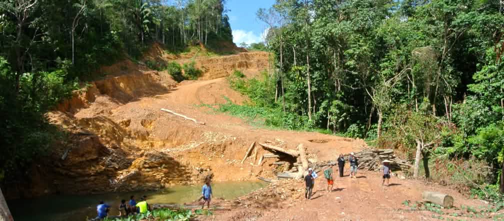 Sarawak leidet unter massiver Waldvernichtung Rodungsfläche