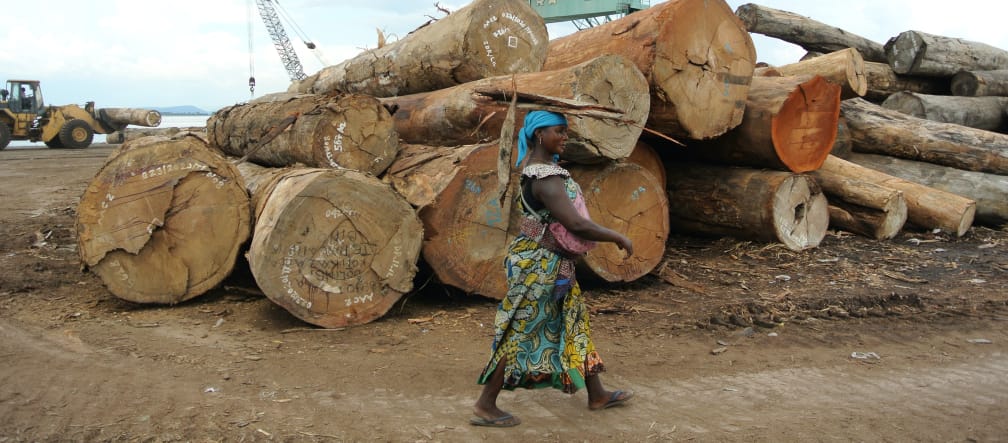 Holz im Hafen von Kinshasa