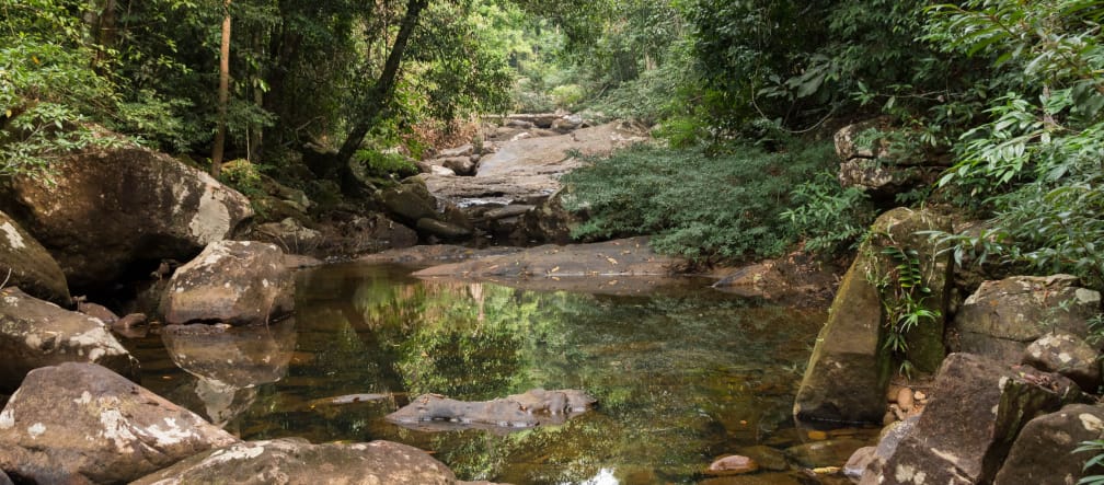 Von Felsbrocken gesäumter Wasserlauf im Regenwald