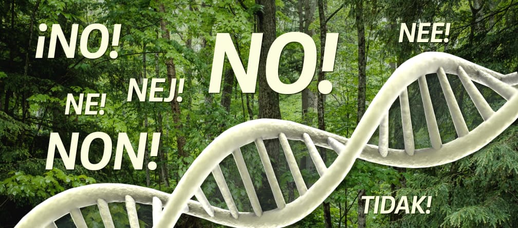 Gentechnisch manipulierte Kastanienbäume bedrohen die Natur Collage - DNA im Wald