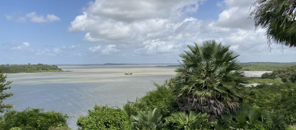 Blick auf eine Meeresbucht mit Vegetation im Vordergrund und weissen Wolken am Himmel