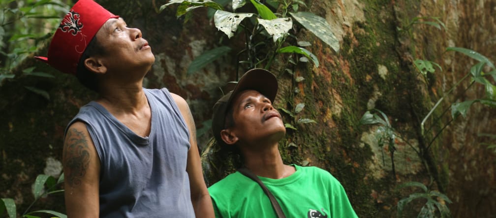 Indigene Dayak Tomun im Kinipan-Wald