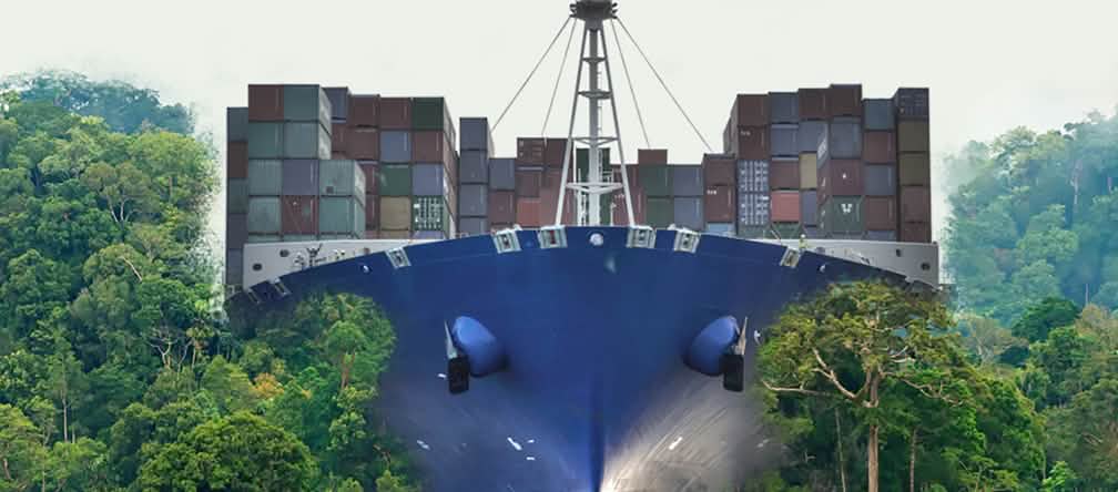 Ein Containerfrachter walzt den Regenwald platt