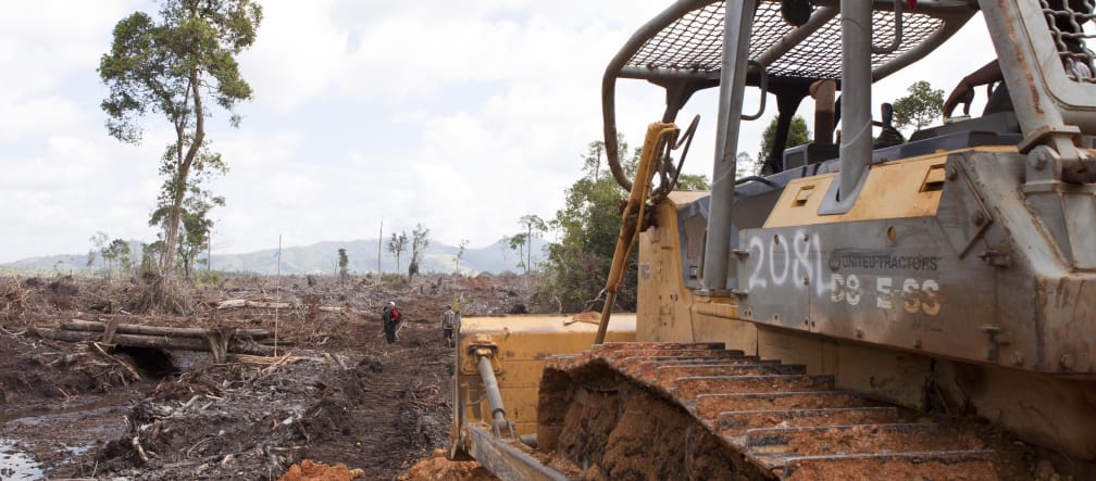 Regenwaldrodung in Borneo Bulldozer rodet Regenwald