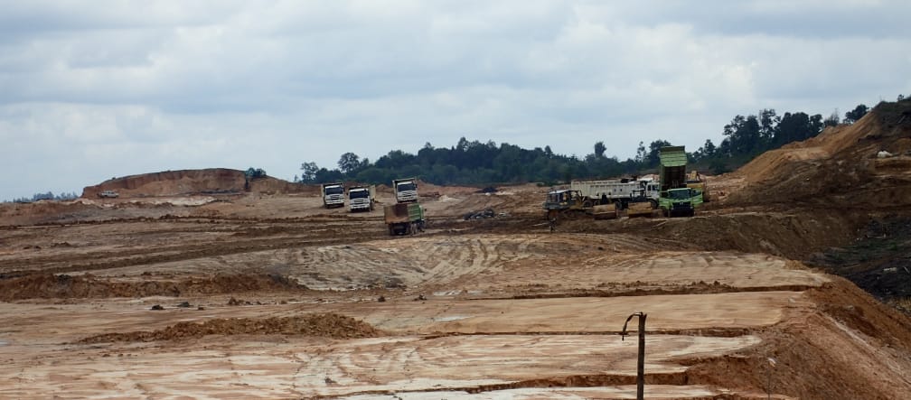 First Resources zerstört Nasenaffen-Wald bei Balikpapan