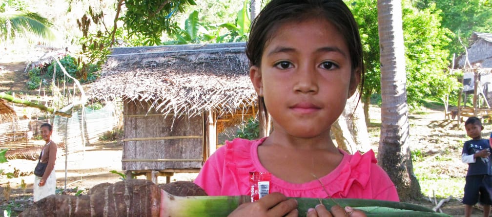 Die indigenen Pala'wan-Familien bauen Obst und Gemüse in kleinen Waldgärten an Mädchen trägt große Staude Taro-Gemüse im Arm, im Hintergrund Dorfhütten