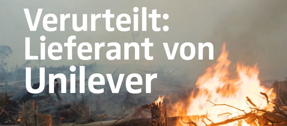 Feuer und Rodung für Palmöl