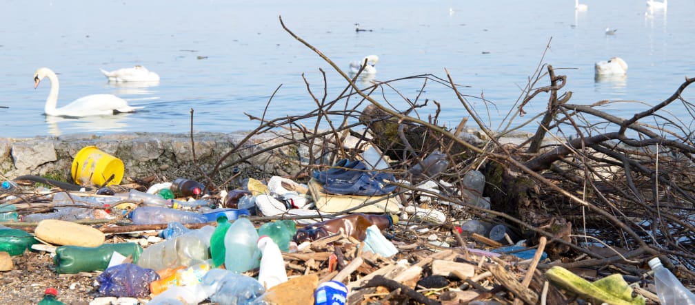 Plastikmüll am Strand der Donau Plastikmüll am Strand der Donau und Schwäne auf dem Wasser