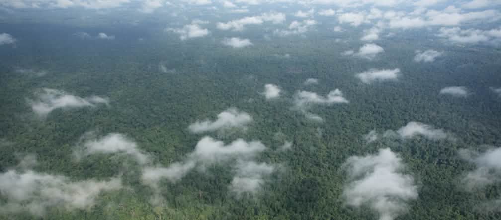 Luftaufnahme mit Wolken über dichtem Regenwald