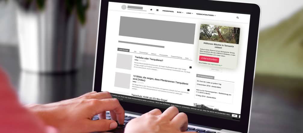 Petitionen auf der eigenen Webseite einbinden Computerbildschirm mit einer Beispielwebseite für die Einbindung des Petitions-Widgets