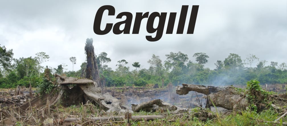 In Lateinamerika brennen die Wälder, um Platz für Äcker zu schaffen Brandrodung + Cargill Logo