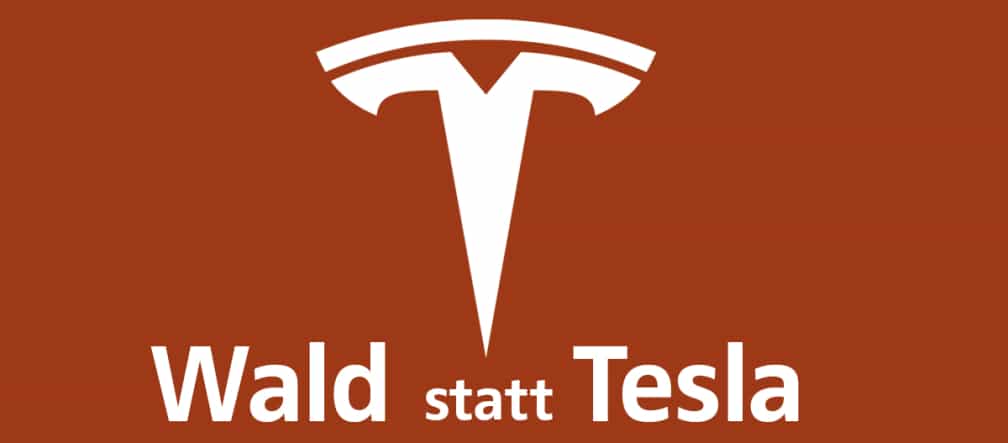 Bis März will Tesla die ersten 91,5 Hektar Wald fällen Tesla statt Wald