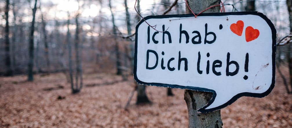 Umweltschützer wollen den Treburer Wald bei Frankfurt bewahren Treburer Wald Frankfurt Airport