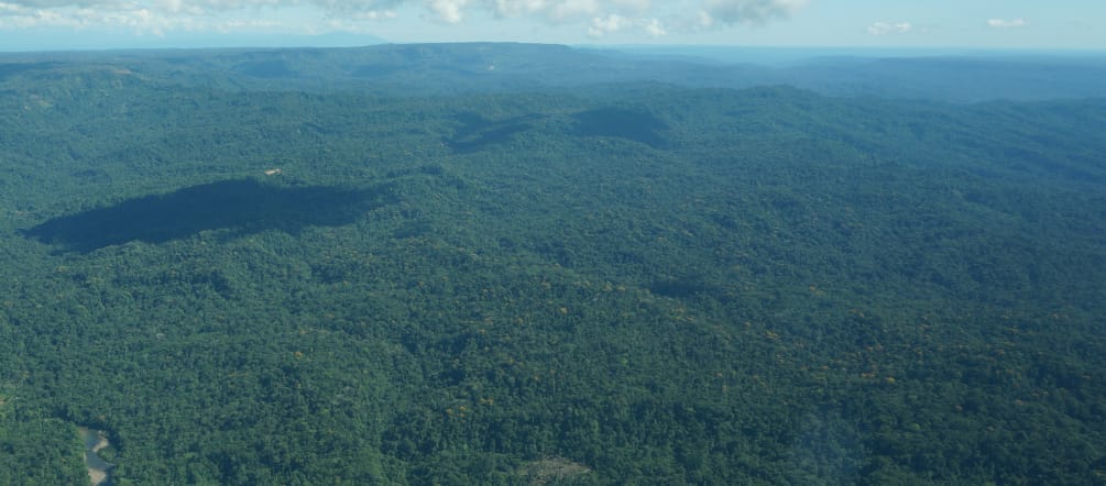 Luftaufnahme aus einem Kleinflugzeug auf den Regenwald der Sápara